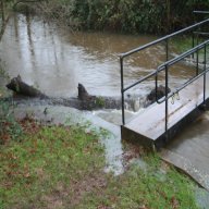 River Blackwater Gauging Weir